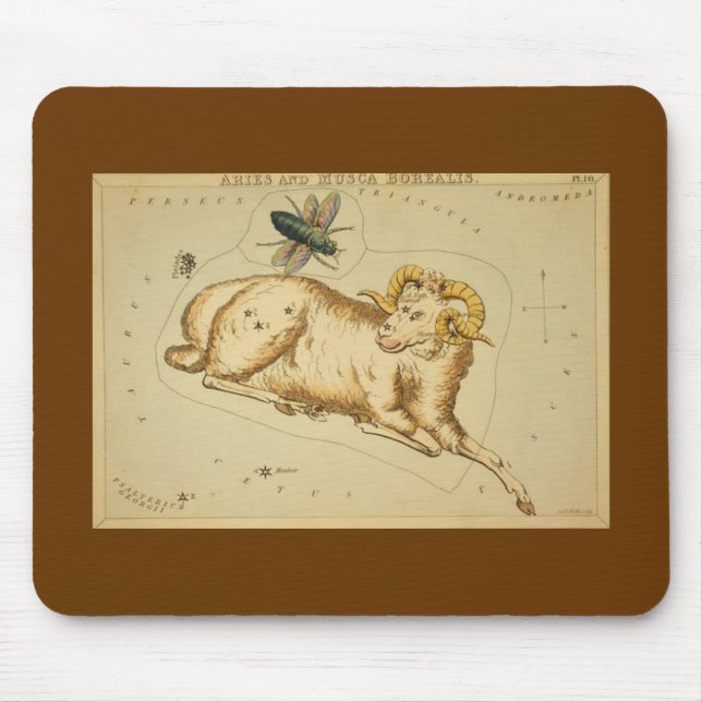 Aries Mouse Pad Musmatta (Framsidan)