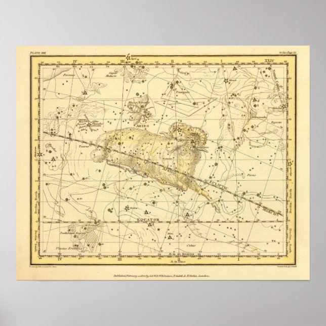 Aries, Musca Borealis Poster (Framsidan)