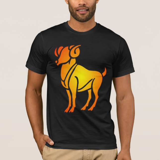 Aries Shirt T-shirt (Framsida)
