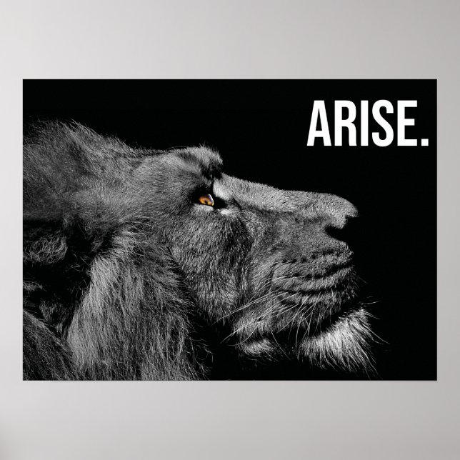 Arise - Lejon - Hustle, Gym, Success Motivational Poster (Framsidan)