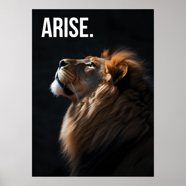 Arise - Lejon - Success, Workout - Motivational Poster (Framsidan)