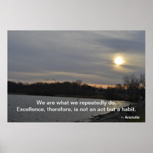 Aristoteles - excellens poster
