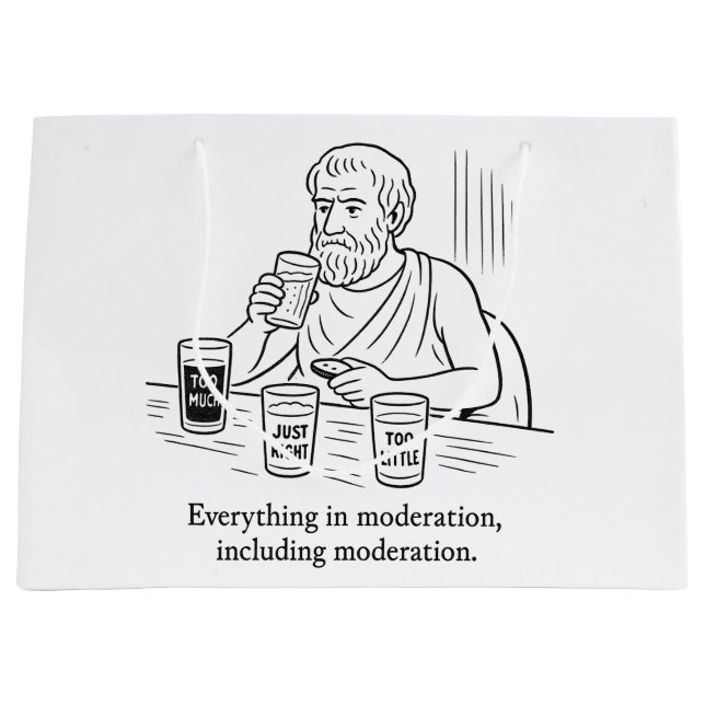 Aristoteles guide till måttfullhet (Framsidan)