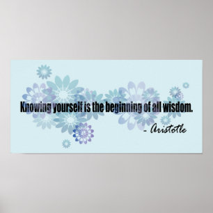 Aristoteles Poster