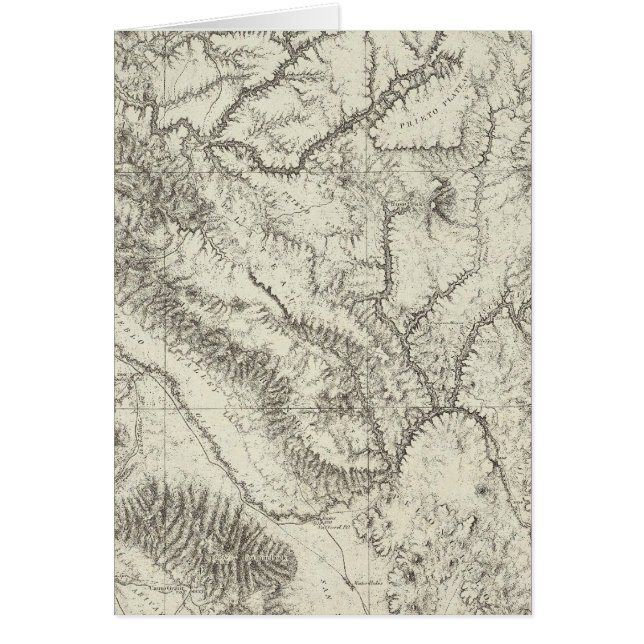 Arizona 4 hälsningskort (Framsidan)