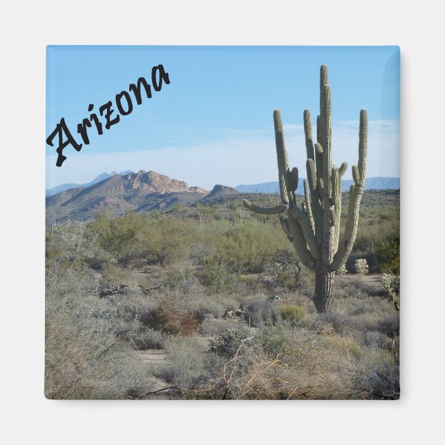 Arizona Apache Trail Cactus Photo Magnet (Framsidan)