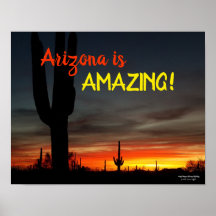 "Arizona är Fantastisk!" Sunset Sonoran Desert Cac