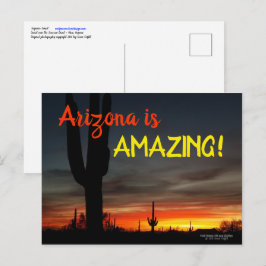 "Arizona är Fantastisk!" Sunset Sonoran Desert Cac Vykort