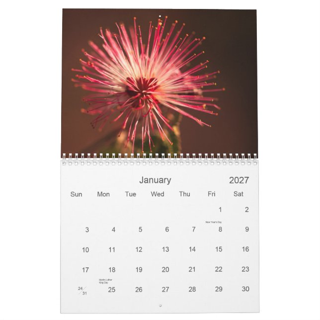 Arizona blommor kalender (Jan 2027)