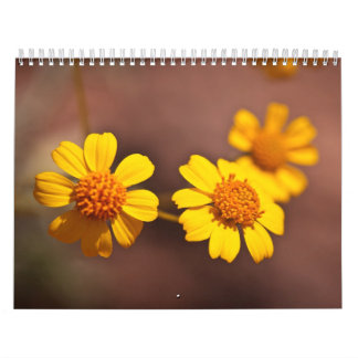 Arizona blommor kalender