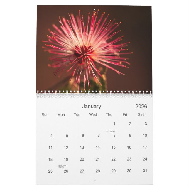 Arizona blommor kalender (Jan 2026)