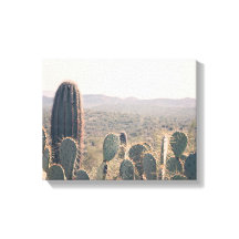 Arizona Cacti | Canvas Art