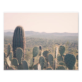 Arizona Cacti | Fotoutskrift Fototryck