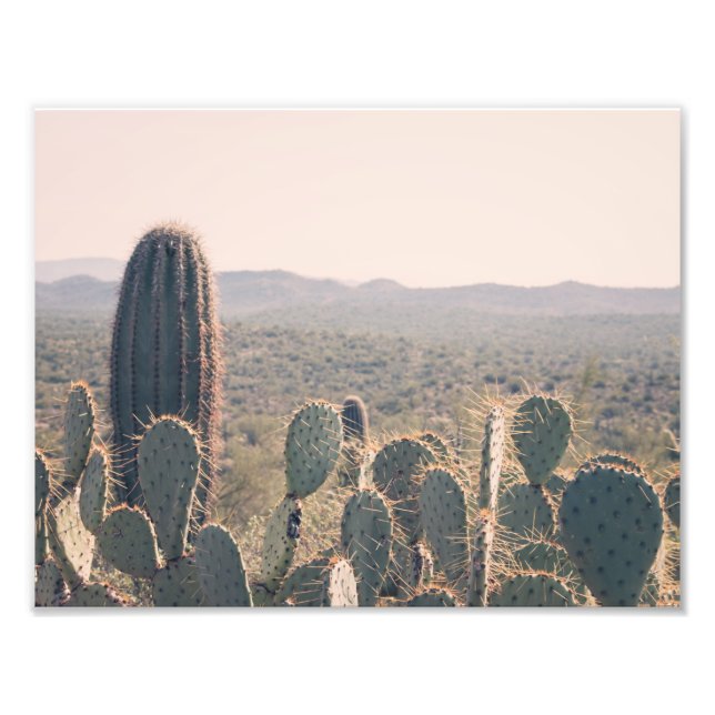 Arizona Cacti | Fotoutskrift Fototryck (Framsidan)
