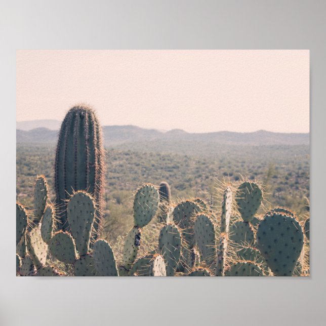 Arizona Cacti | POSTER (Framsidan)