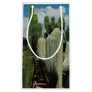 Arizona Cactus
