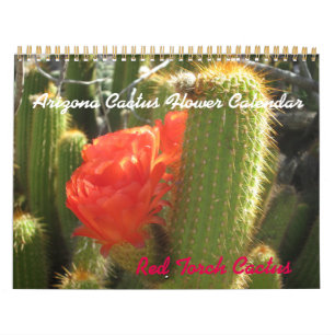 Arizona Cactus Flower Calendar Kalender