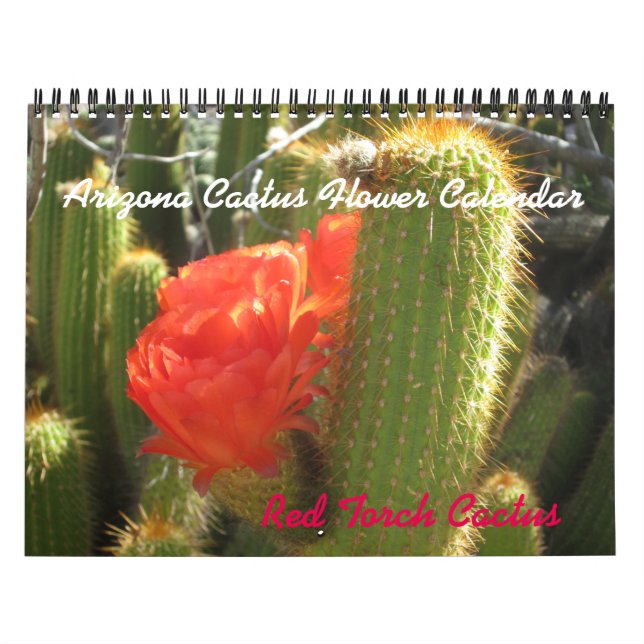 Arizona Cactus Flower Calendar Kalender (Omslag)