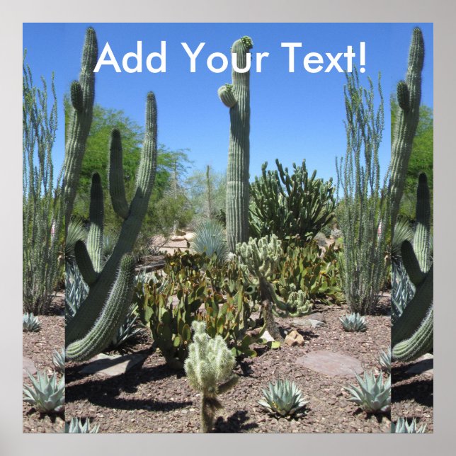 Arizona Cactus Garden Poster (Framsidan)