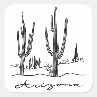Arizona Cactus Land Fyrkantigt Klistermärke