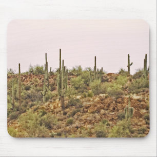 Arizona cactus liggande musmatta