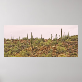 Arizona cactus liggande poster