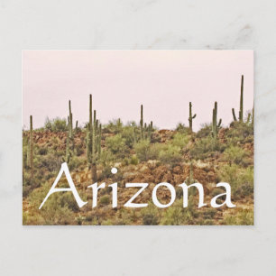 Arizona Cactus liggande Vykort