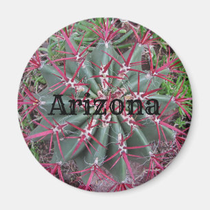 Arizona Cactus Photo Red Barrel Desert Plant Magnet