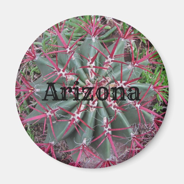 Arizona Cactus Photo Red Barrel Desert Plant Magnet (Framsidan)