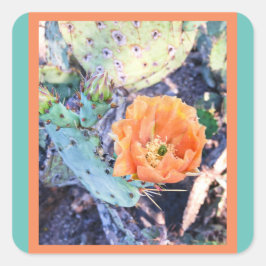 Arizona Cactus Sälar / Stickers Fyrkantigt Klistermärke