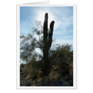 Arizona Cactus (tomt) OBS Kort