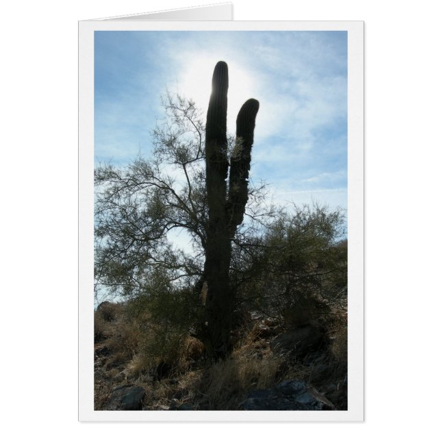 Arizona Cactus (tomt) OBS Kort (Framsidan)