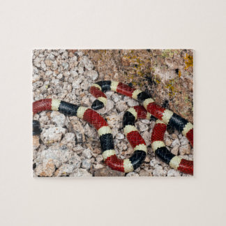 Arizona Coral Snake Jigszle Puzzle Pussel