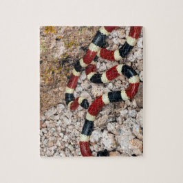 Arizona Coral Snake Jigszle Puzzle Pussel