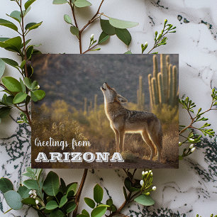 Arizona Coyote Landskaps Kaktus Öken Vykort