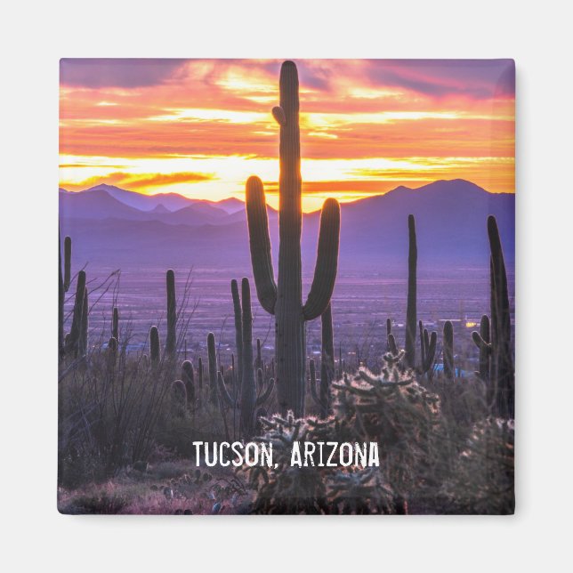 Arizona Desert Cactus Sunset Nature Photo Souvenir Magnet (Framsidan)