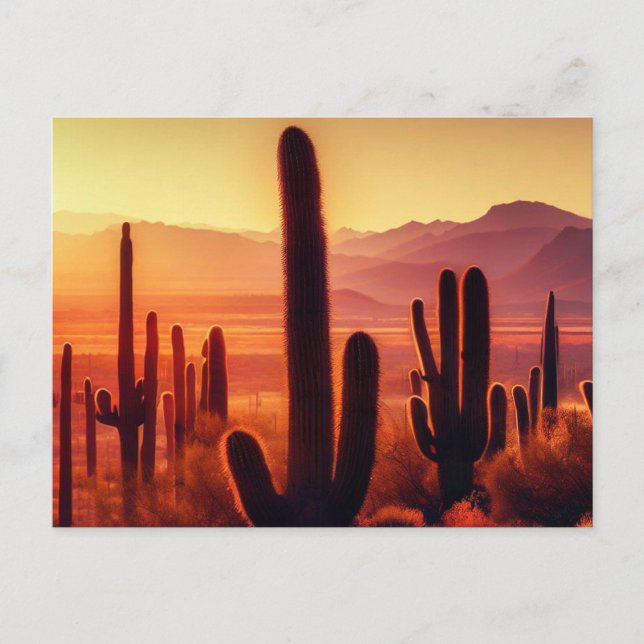 Arizona Desert cactus sunset Vykort (Framsida)
