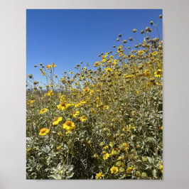 Arizona Desert Gula blommor Liggande Poster
