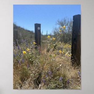 Arizona Desert Gult Lila blommor Gömt Beauty Poster
