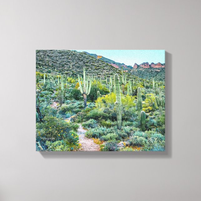 Arizona Desert Hiking Saguaro Cactus Forest 14x11 Canvastryck (Framsida)