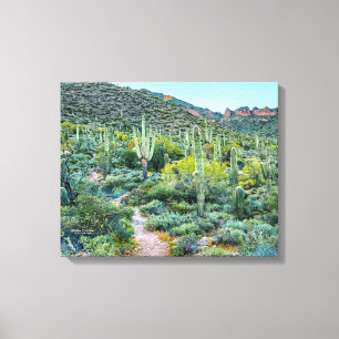 Arizona Desert Hiking Saguaro Cactus Forest 20x16 Canvastryck