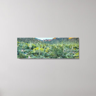 Arizona Desert Hiking Saguaro Cactus Forest 36x12 Canvastryck