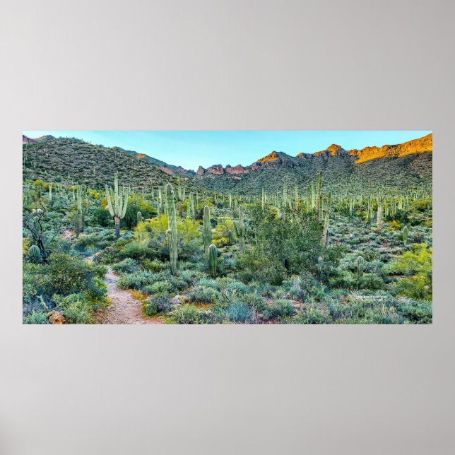 Arizona Desert Hiking Trail Saguaro Cactus Forest Poster (Framsidan)