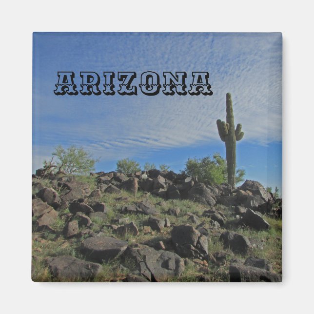 Arizona Desert Ligcape Photo Saguaro Cactus Magnet (Framsidan)