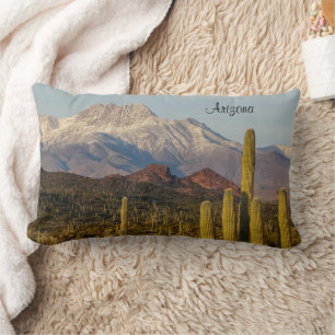 Arizona Desert Saguaro Cacti Snowy Mountain Lumbarkudde