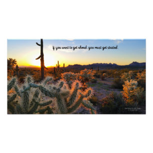 Arizona Desert Sunset Cactus - inspirationsljudet Fototryck