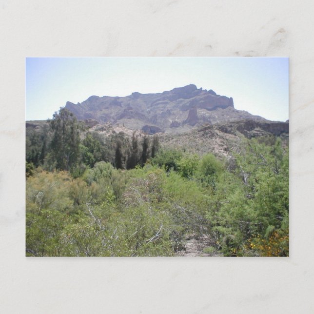 Arizona Desert Vykort (Framsida)