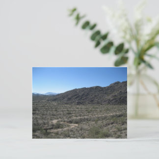 Arizona Desert Vykort