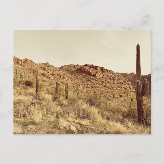 Arizona Desert-vykort Vykort (Framsida)