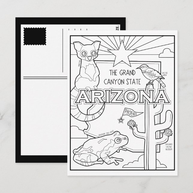 arizona färg mig collage vykort (Fram/baksida)